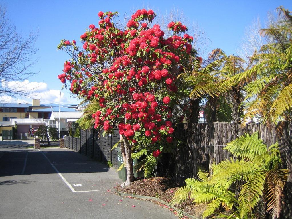 Victoria Lodge Rotorua Exteriér fotografie